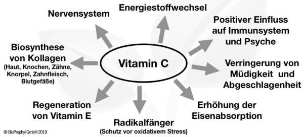 funktionen vitamin c